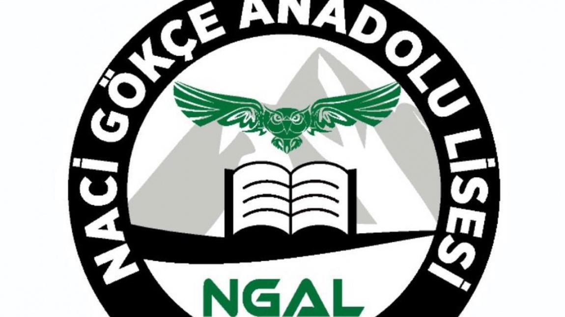 Naci Gökçe Anadolu Lisesi resmi